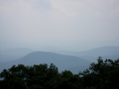 IMG 1548