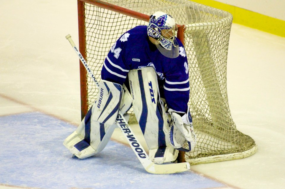 Hamilton Bulldogs Vs Toronto Marlies