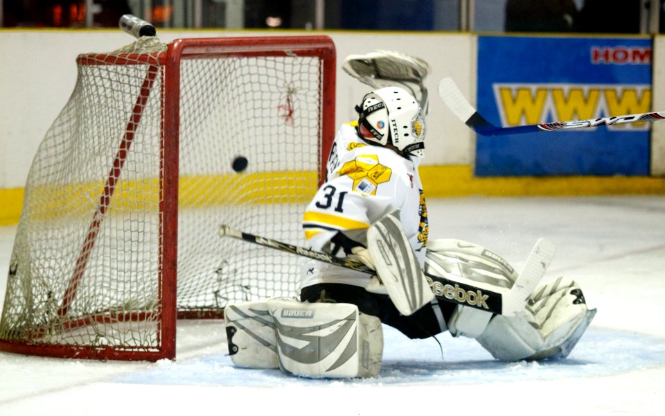 Bracknell Bees Vs Basingstoke Bison