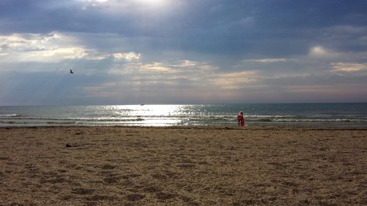 Submitted by Nell Speerschneider