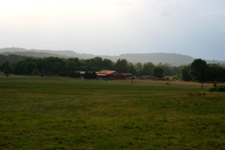 IMG 0559