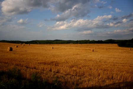 IMG 0539