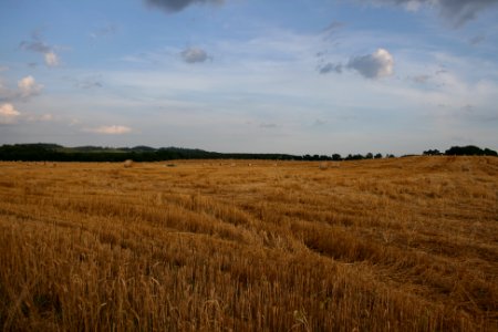 IMG 0542