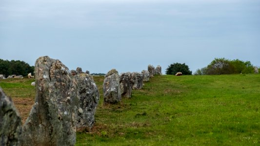 Alignements de Carnac
