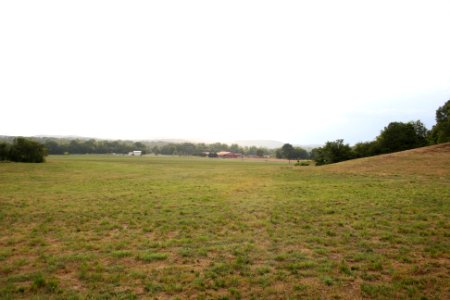 IMG 0560