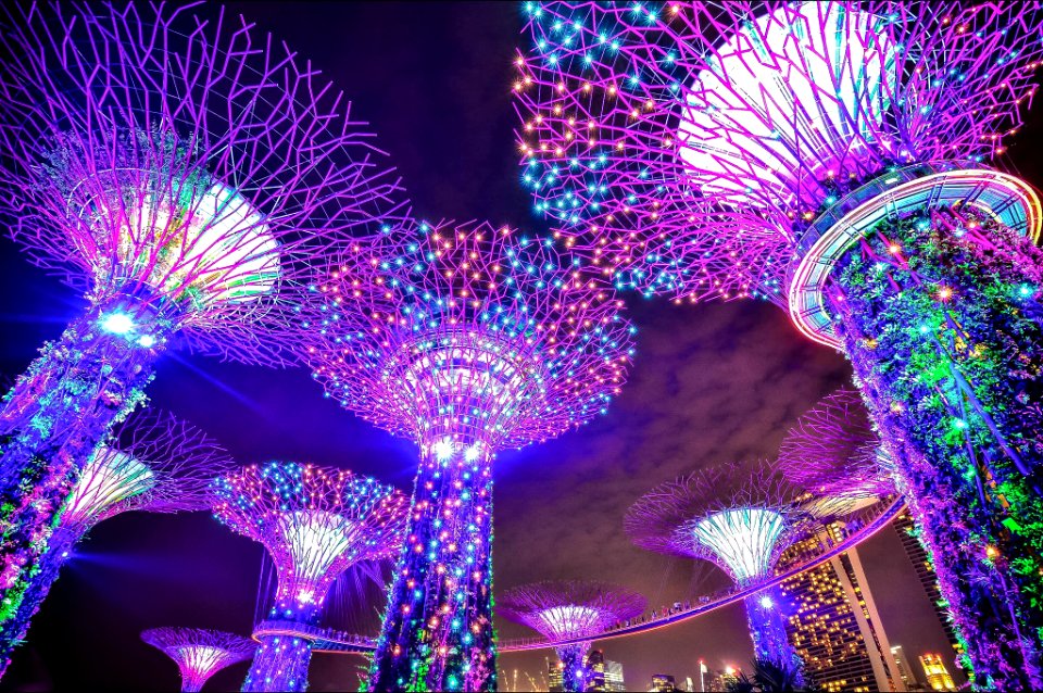SINGAPORE 44