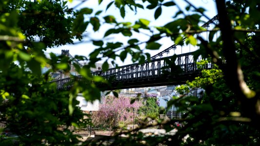 Vieux pont suspendu du Bono