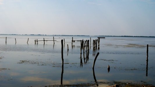 Divjaka-Karavasta National Park