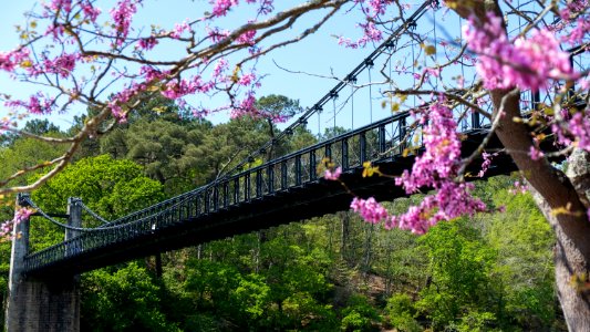 Vieux pont suspendu du Bono