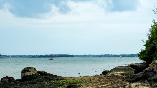 Marée basse
