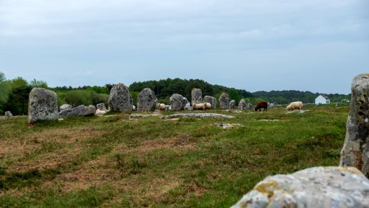 Alignements de Carnac