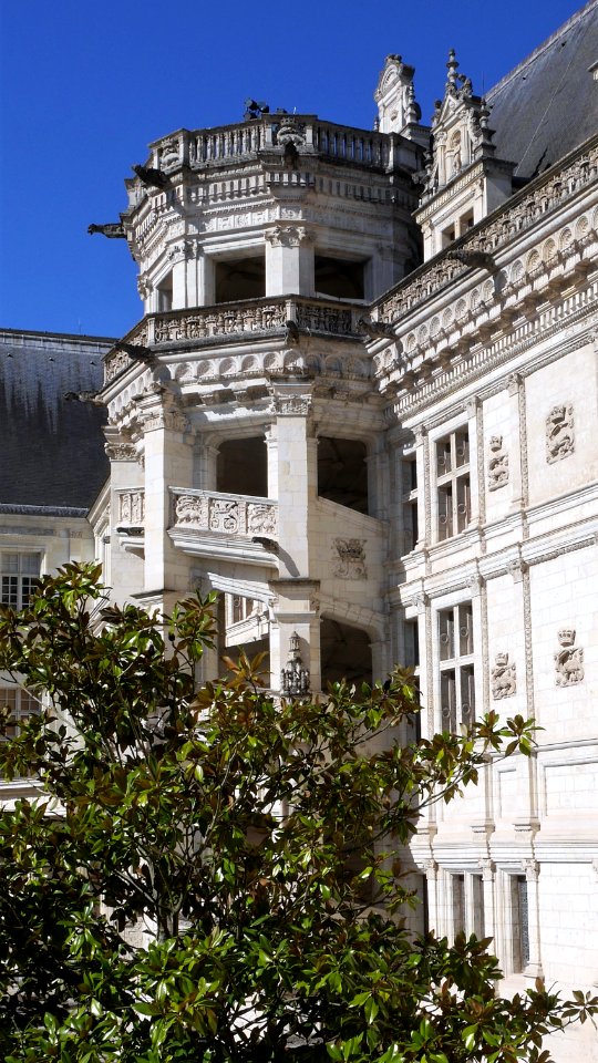 L'escalier François 1er, Château de Blois