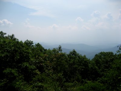 IMG 1559