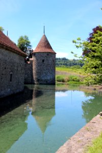 Schloss Hallwyl  IMG 1352