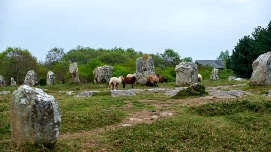 Alignements de Carnac