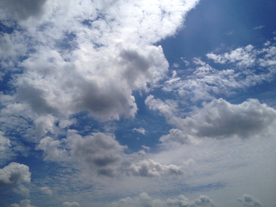 Submitted by Cindy Krueger