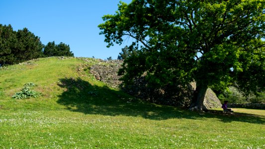 Cairn de Gavrinis photo