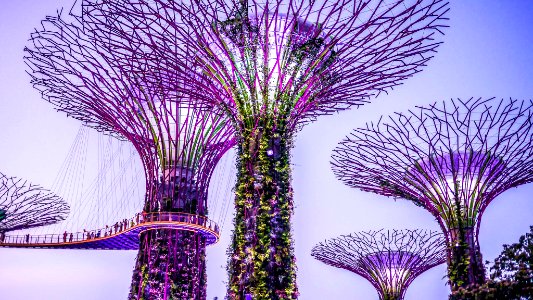 SINGAPORE 13
