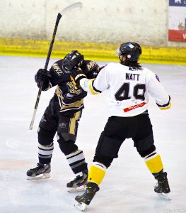 Ice Hockey - Bracknell Bees Vs Milton Keynes Lightning