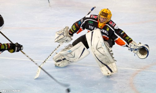 Bracknell Bees Vs Telford Tigers