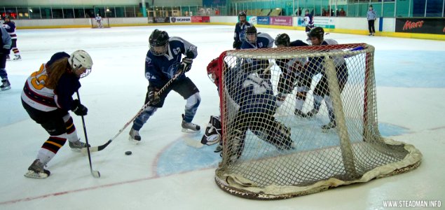 Guildford Lightning Vs Sheffield Shadows