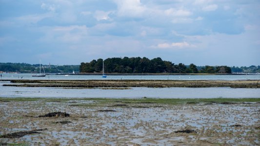 Marée basse photo