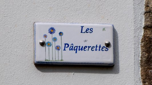 Les Pâquerettes