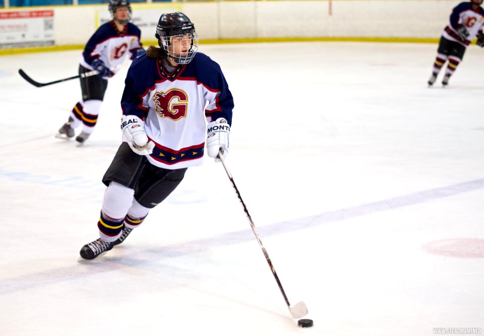 Ice Hockey - Guildford Lightning At Slough Phantoms