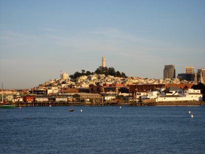 sf-cosn 111