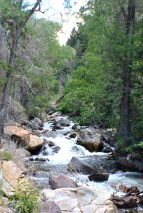 Submitted by Linda Beachnau