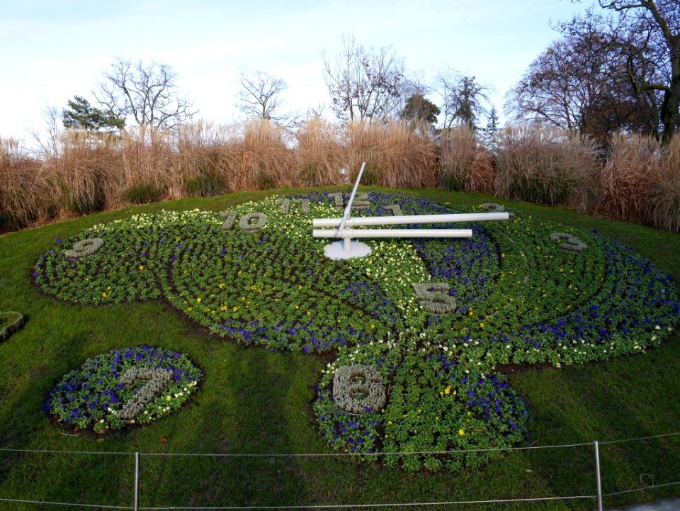 Horloge fleurie