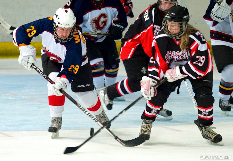Guildford Lightning Vs Swindon Topcats