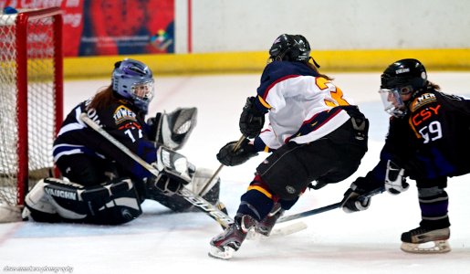 Guildford Lightning vs Milton Keynes Falcons
