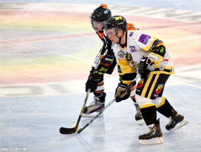 Bracknell Bees Vs Telford Tigers