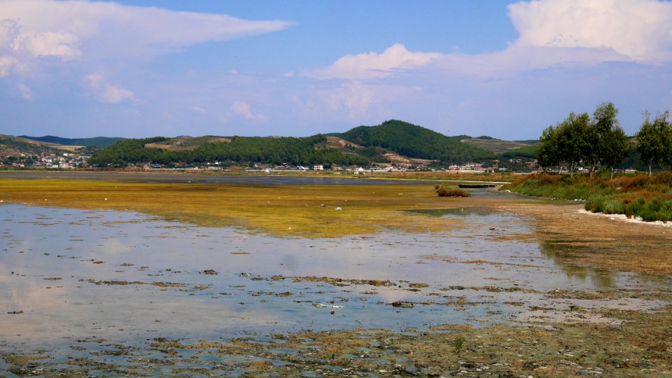 Divjaka-Karavasta National Park