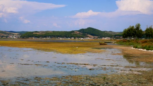 Divjaka-Karavasta National Park