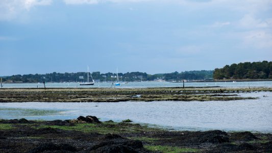 Marée basse photo