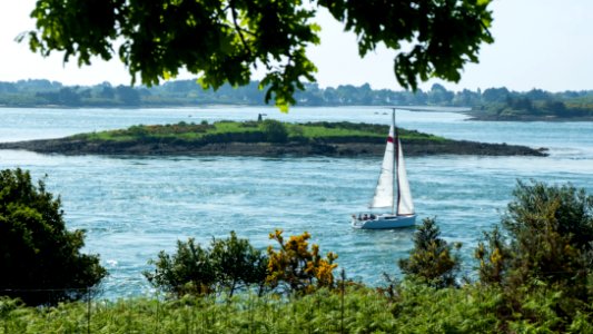 Golfe du Morbihan photo