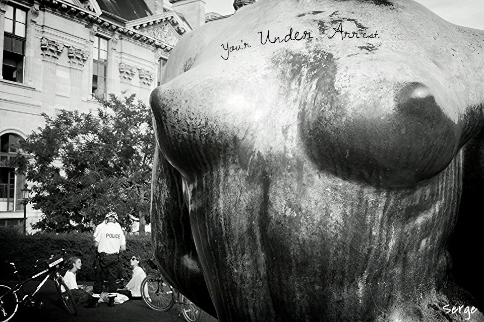 You're Under Arrest (Serge Gainsbourg album)..Serge Gainsbourg..identity control