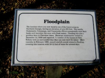 IMG 0683