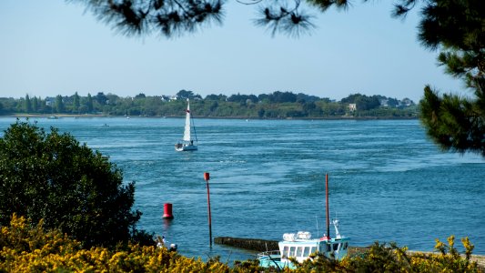 Le golfe du Morbihan photo