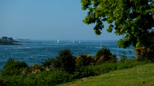 Le golfe du Morbihan photo