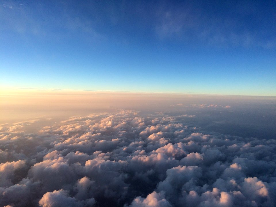 Submitted by Sallie Draper