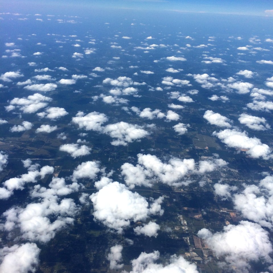 Submitted by Sallie Draper
