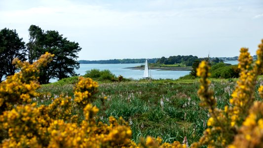 Île-aux-Moines