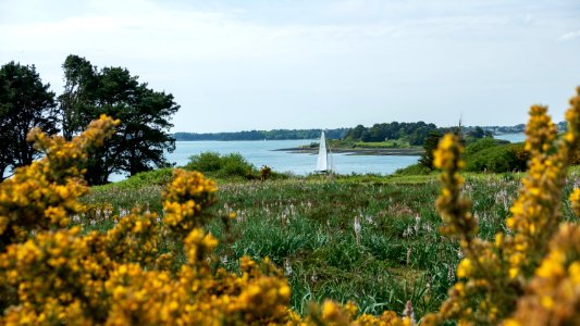 Île-aux-Moines photo