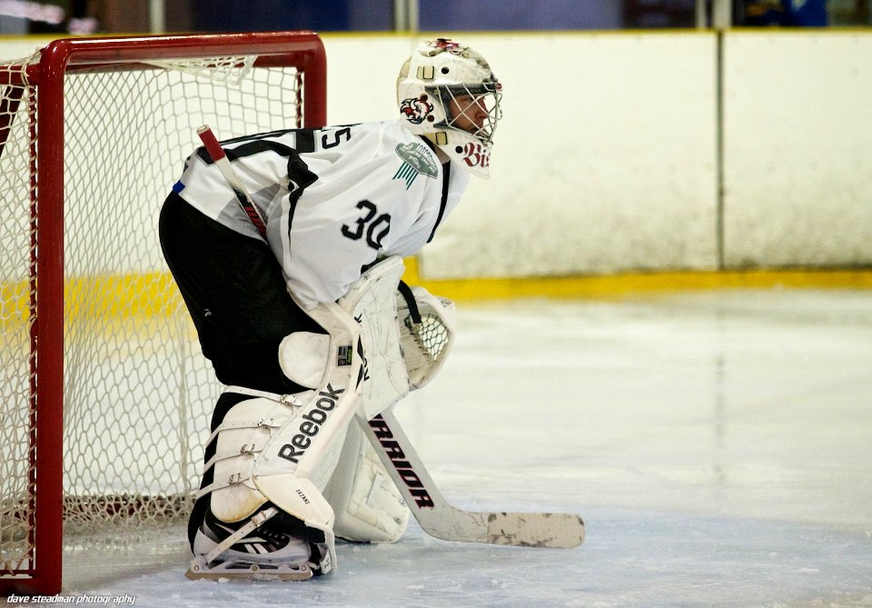 Bracknell Bees At Basingstoke Bison