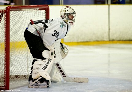 Bracknell Bees At Basingstoke Bison