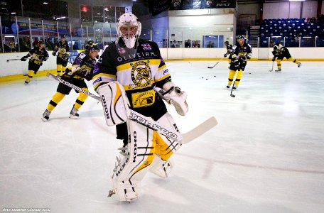 Bracknell Bees At Basingstoke Bison