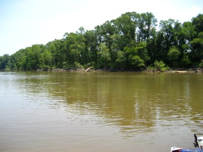 IMG 0232